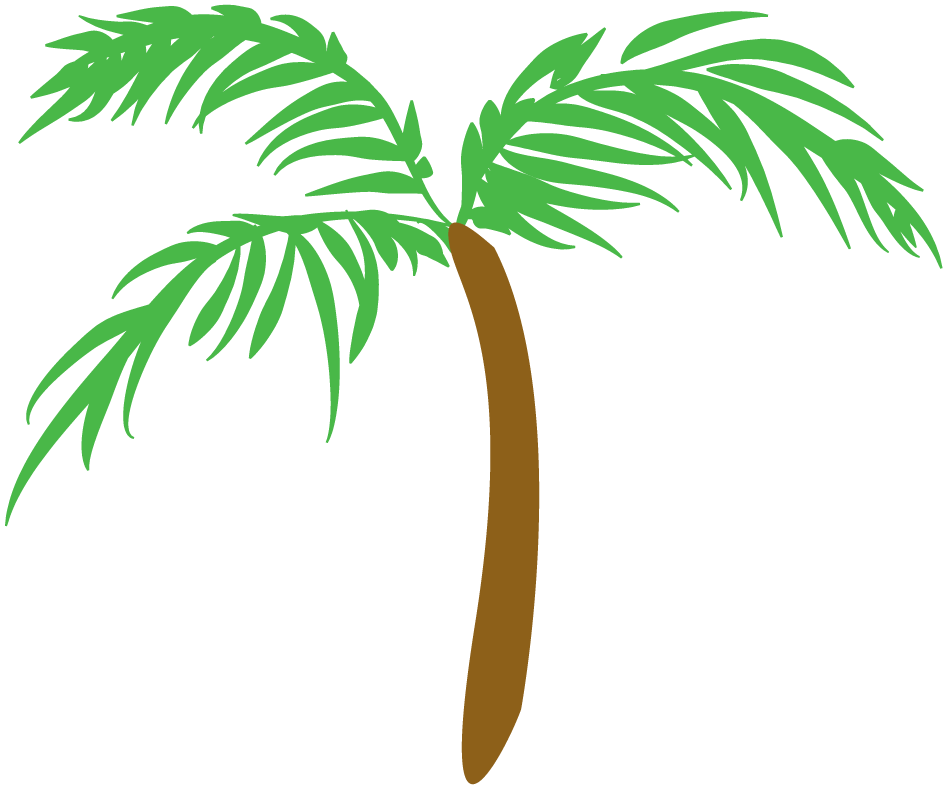 palm tree